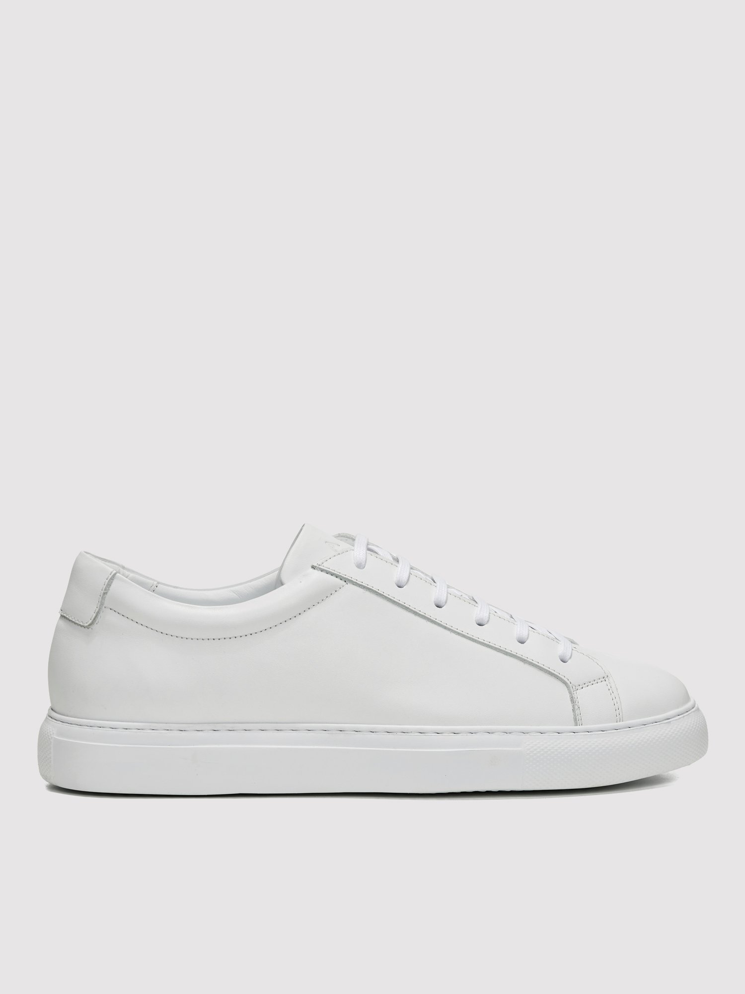 Aosian-as-22.whi (2)