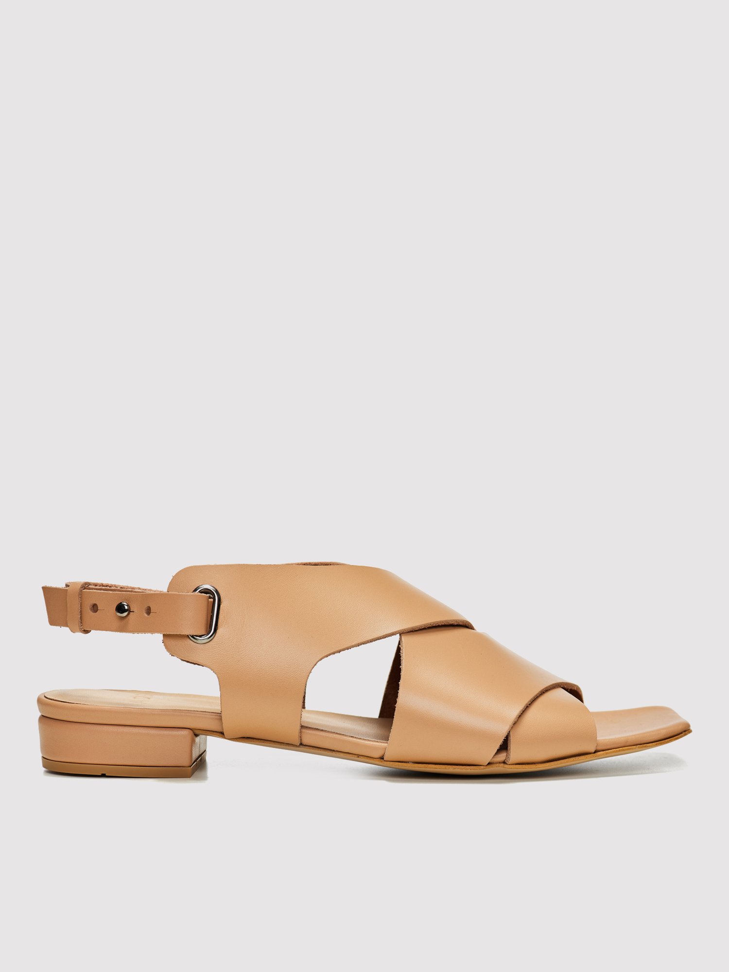 Aossilva-as-22.tan (4)