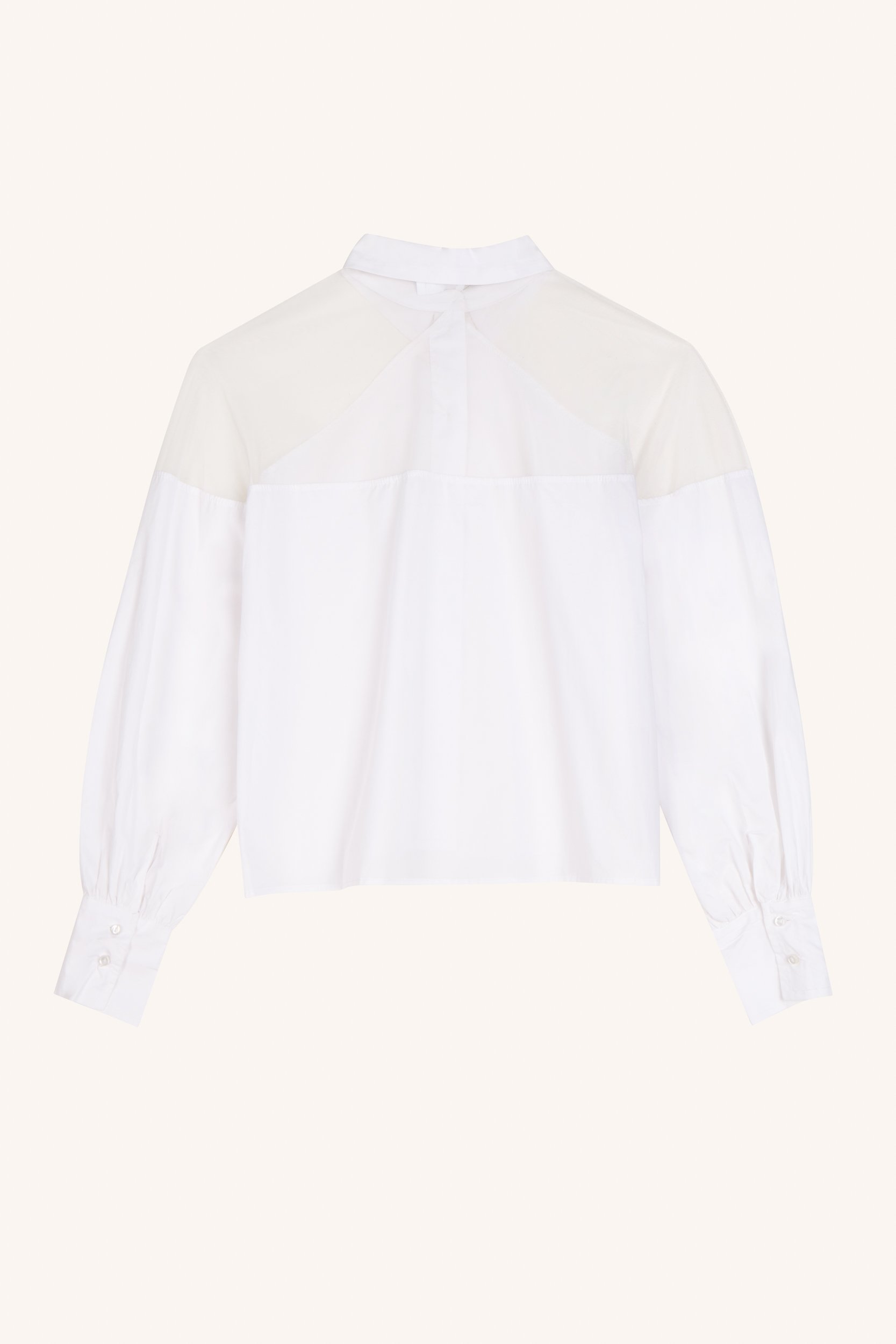 2025aprilaosstills0088