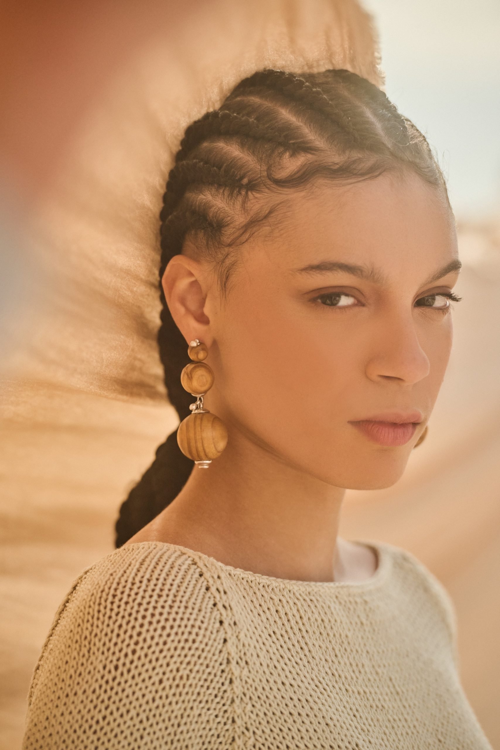 aos campaign 2424486