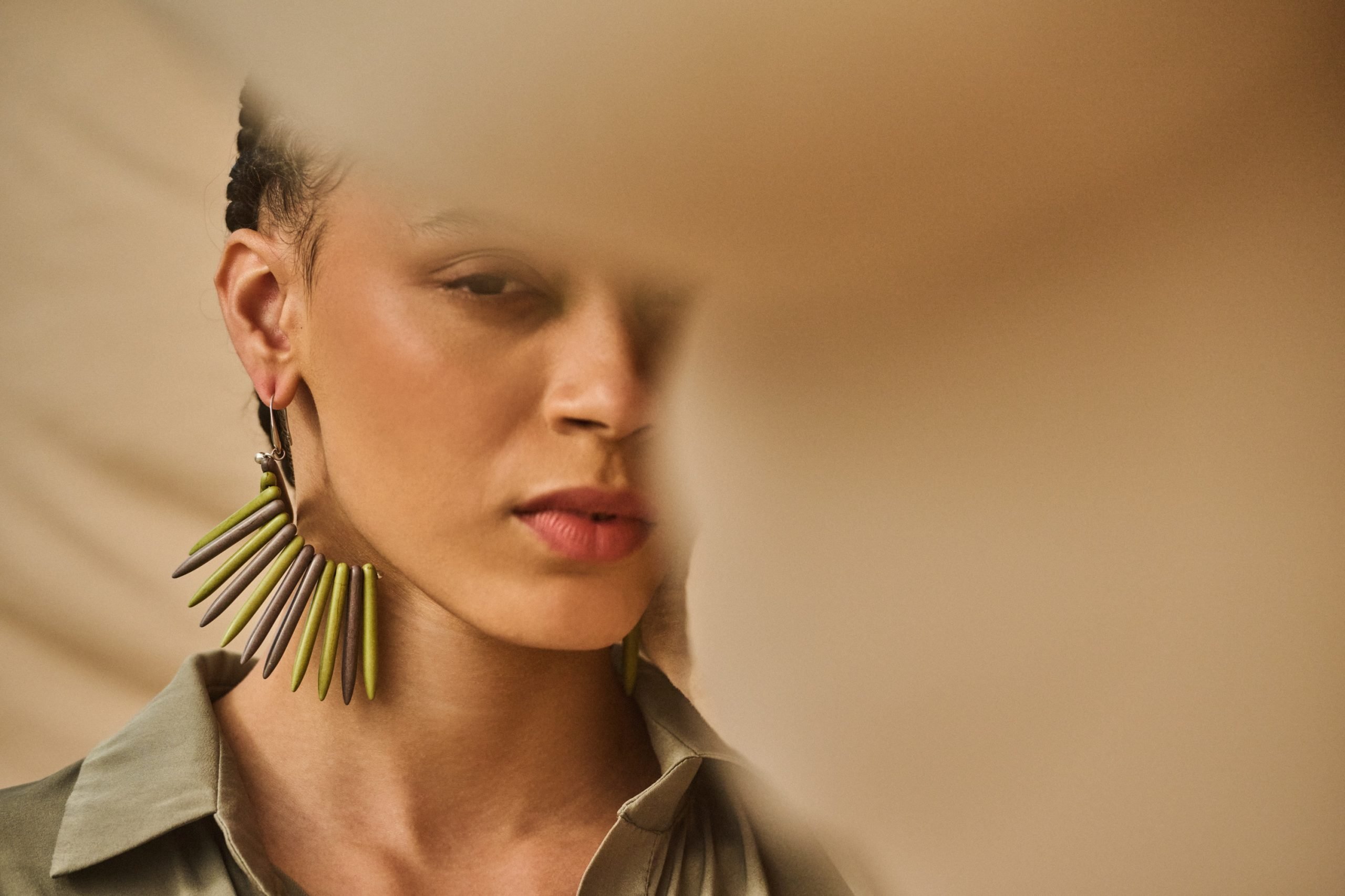 aos campaign 2424680